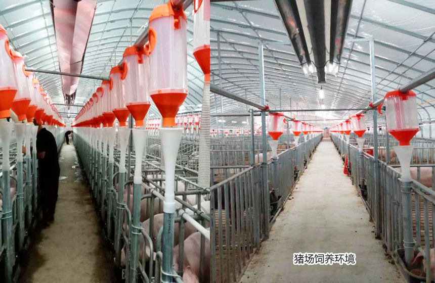 鄒城市錦成浩達(dá)畜禽養(yǎng)殖有限公司
