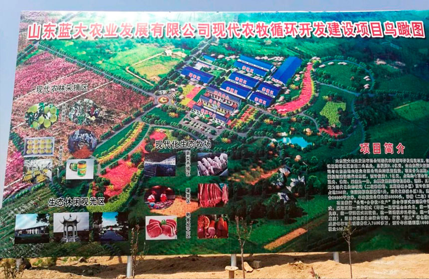 山東藍大農業(yè)發(fā)展有限公司