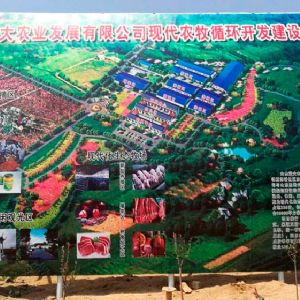 山東藍大農業(yè)發(fā)展有限公司