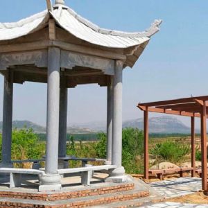 山東藍大農業(yè)發(fā)展有限公司