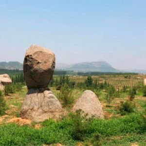 山東藍大農業(yè)發(fā)展有限公司