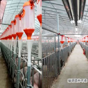 鄒城市錦成浩達(dá)畜禽養(yǎng)殖有限公司